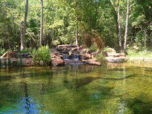 natural swimming pond