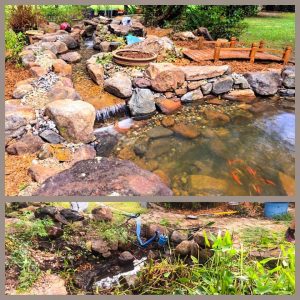 Dallas pond renovation