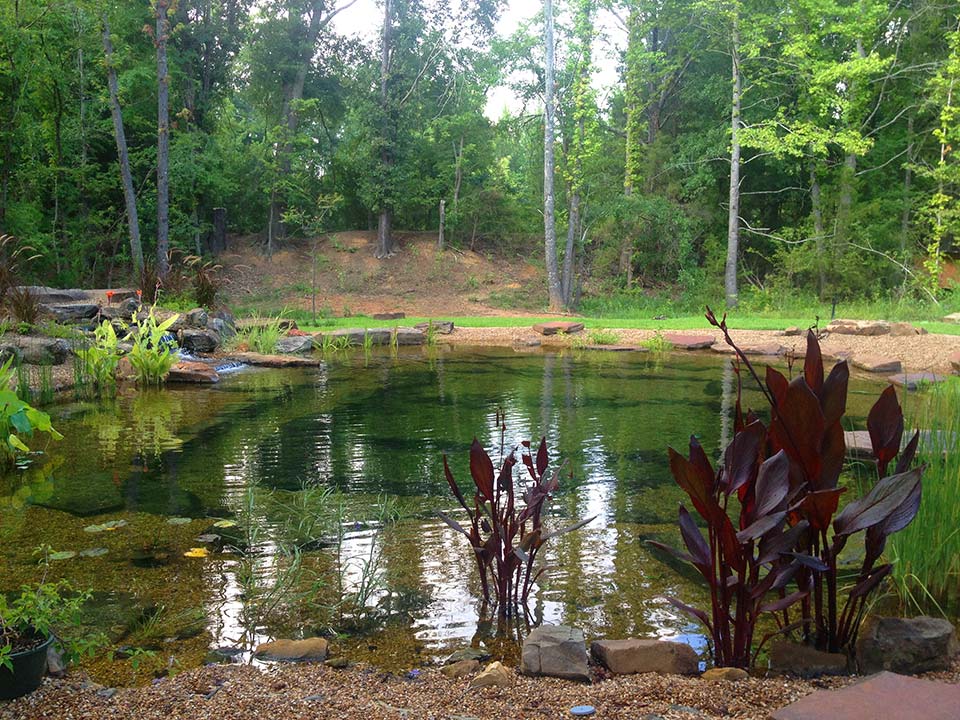 Natural Swimming Pond Builder Dallas Texas FncPonds