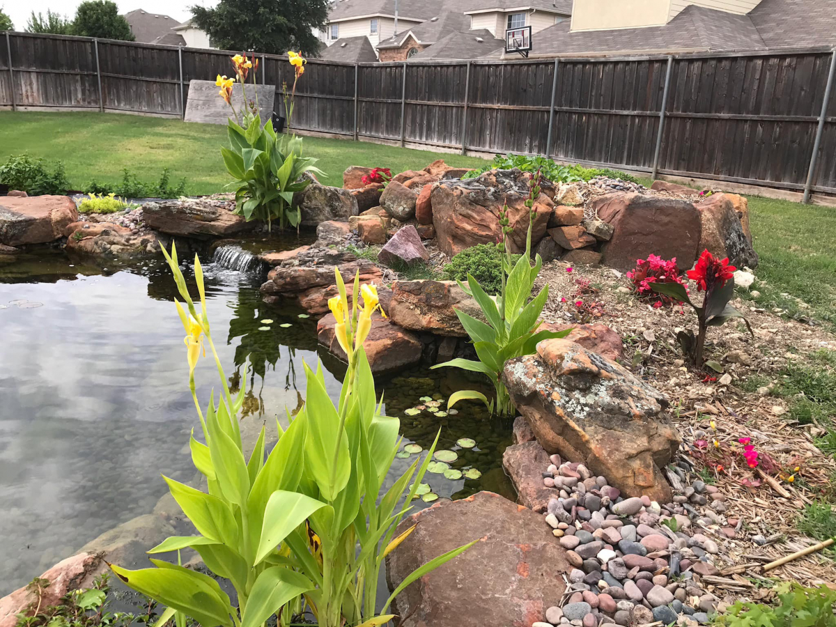 Aquatic Plants and Their Incredible Advantages FNC PONDS