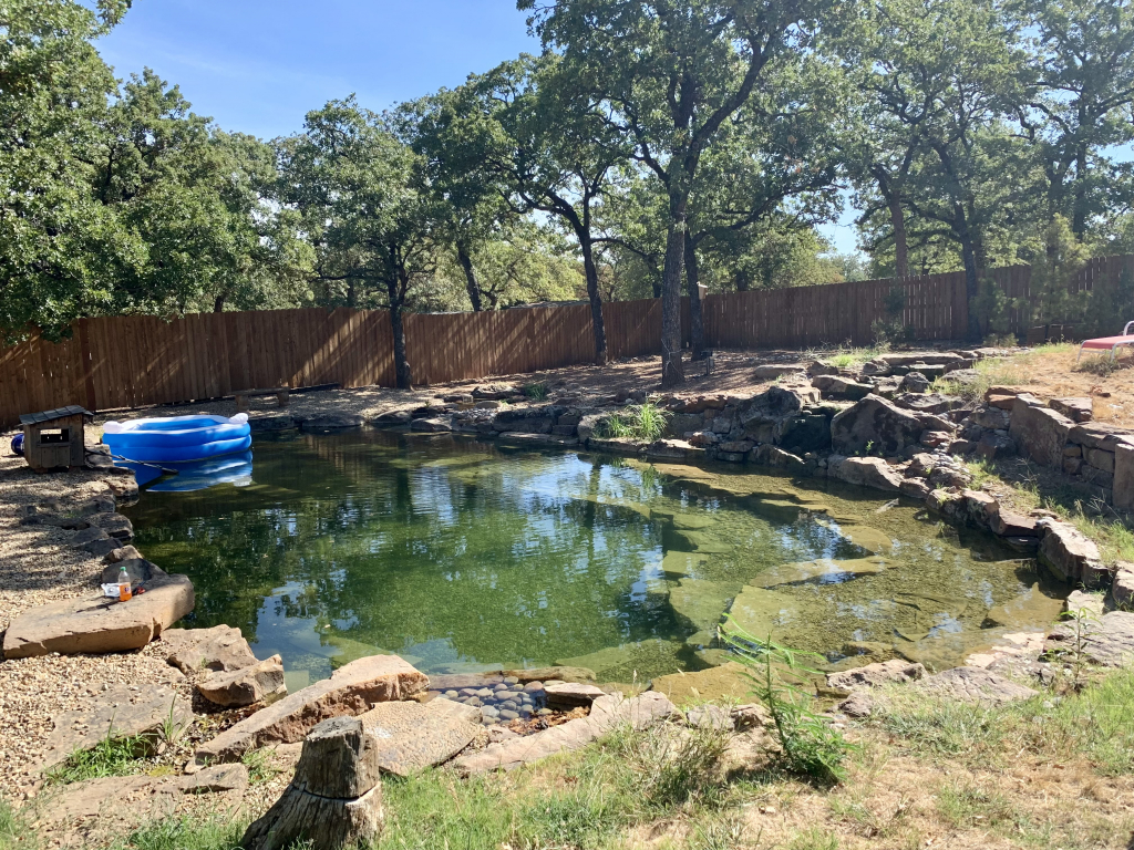 Ecosystem Ponds Vs Lawns What's More Environmentally Friendly? FNC PONDS