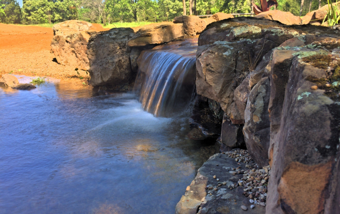 winter pond building