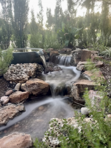 Dallas pond vs pondless waterfall