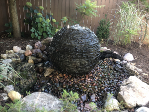 Texas Winter Landscaping