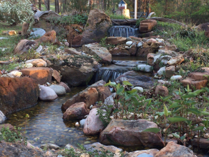 spring pond start up