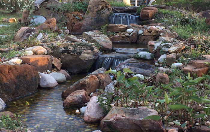 spring pond start up