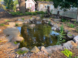 Dallas/Fort Worth Winter Pond Care