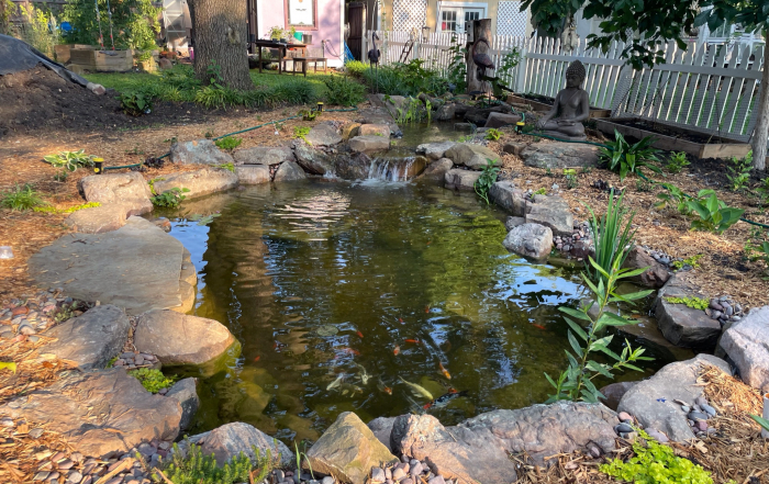 Dallas/Fort Worth Winter Pond Care