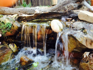 Winter pond building