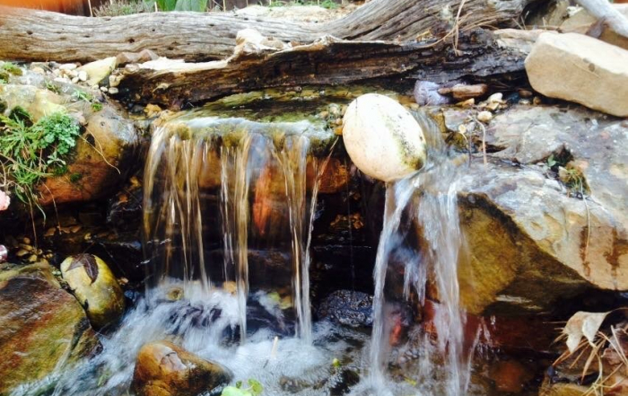 Winter pond building